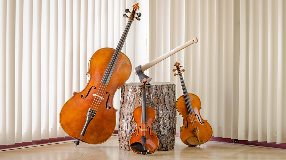 Violino - Viola - Violoncelo