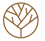 Original Logo_edited