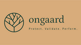 Transforming Logistics Efficiency with ONGAARD - The Smart Freight Audit Solution