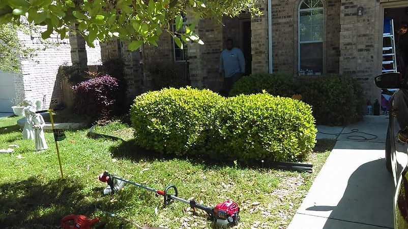 before yard clean up.jpg