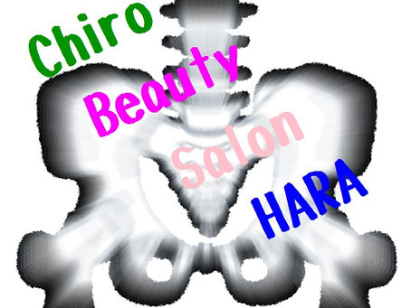 秋はおいしい食べ物、行楽、イベントなどが満載