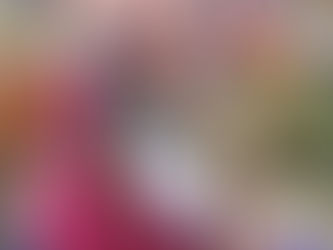 Political Agency of Women Voters in India