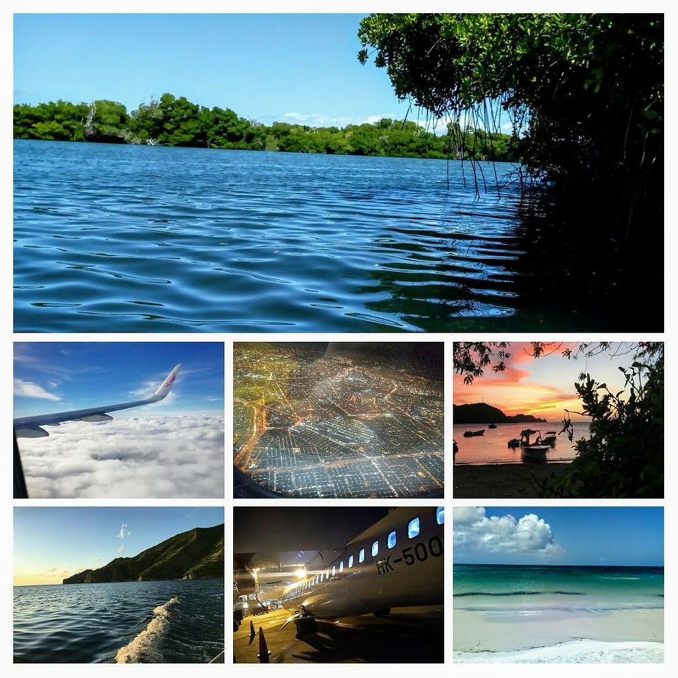 original_cc5b3b7c-6e02-4773-a9bb-dd74533e3ee0_20201024_125854-COLLAGE.jpg