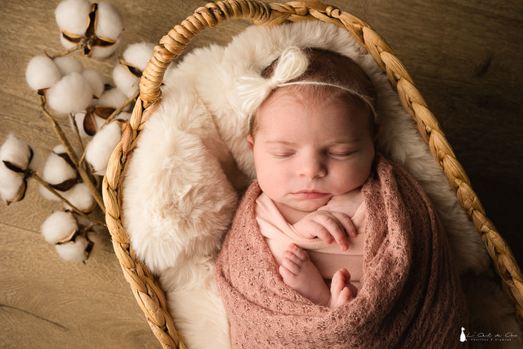 famille, portrait, évènement, expérience, bienveillance, studio, professionnel, cha