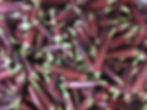Red Okra