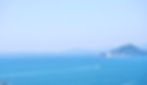 三河湾の散骨