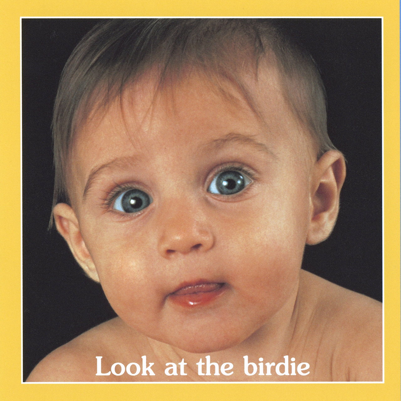 roberta grobel intrater