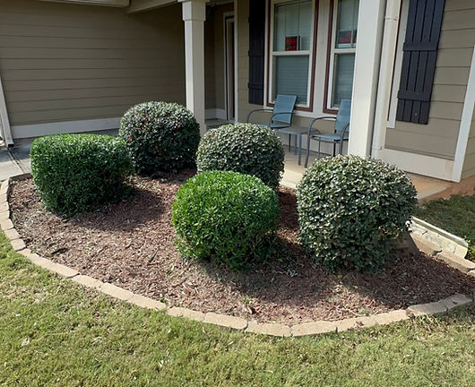Neatly trimmed lawn