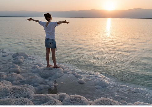 Handbook pic (no words).png