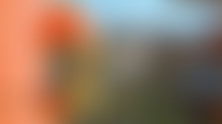 Kuş Yemliği (Bird Feeder)