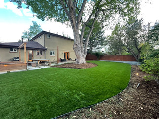 Bell Project DU - DJD Landscaping