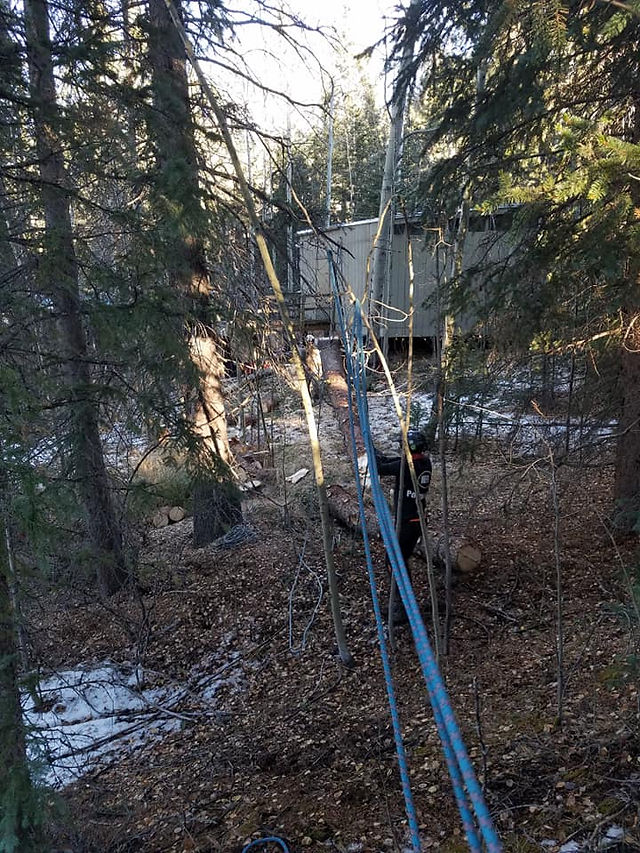 Wilderness on Wheels - Riverdale Tree Services