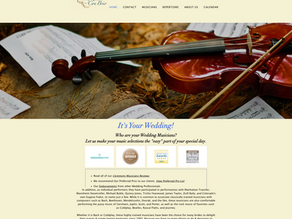 Musician Website Design Fort Collins - Quartet Con Brio