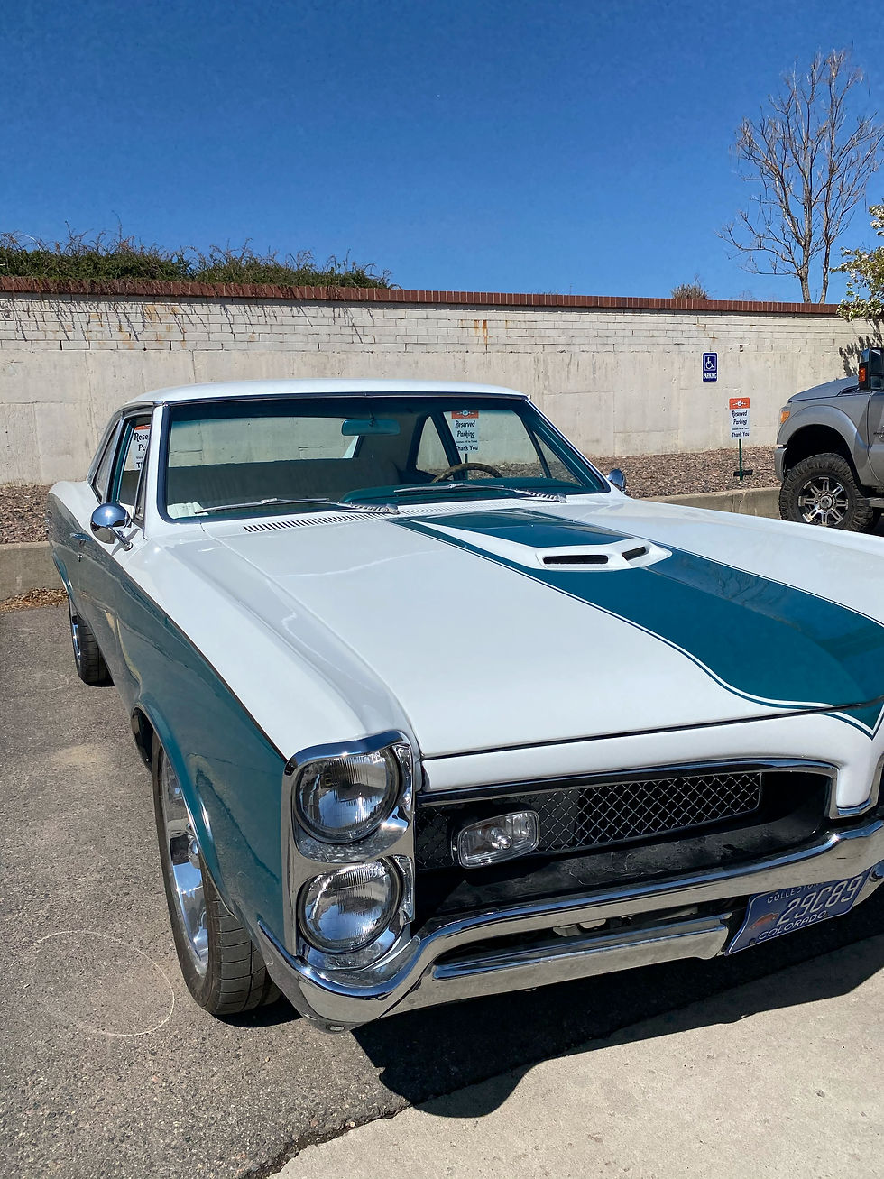 1967 GTO - Creative Visions Northglenn, CO