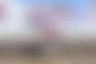 Battle of the Fenders 2025