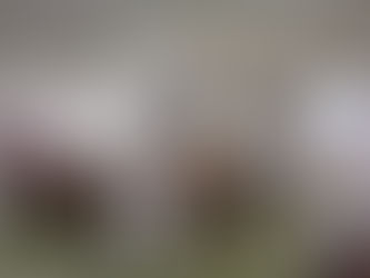 Stunning 1800 Sq Ft Basement in Thornton with Custom Features