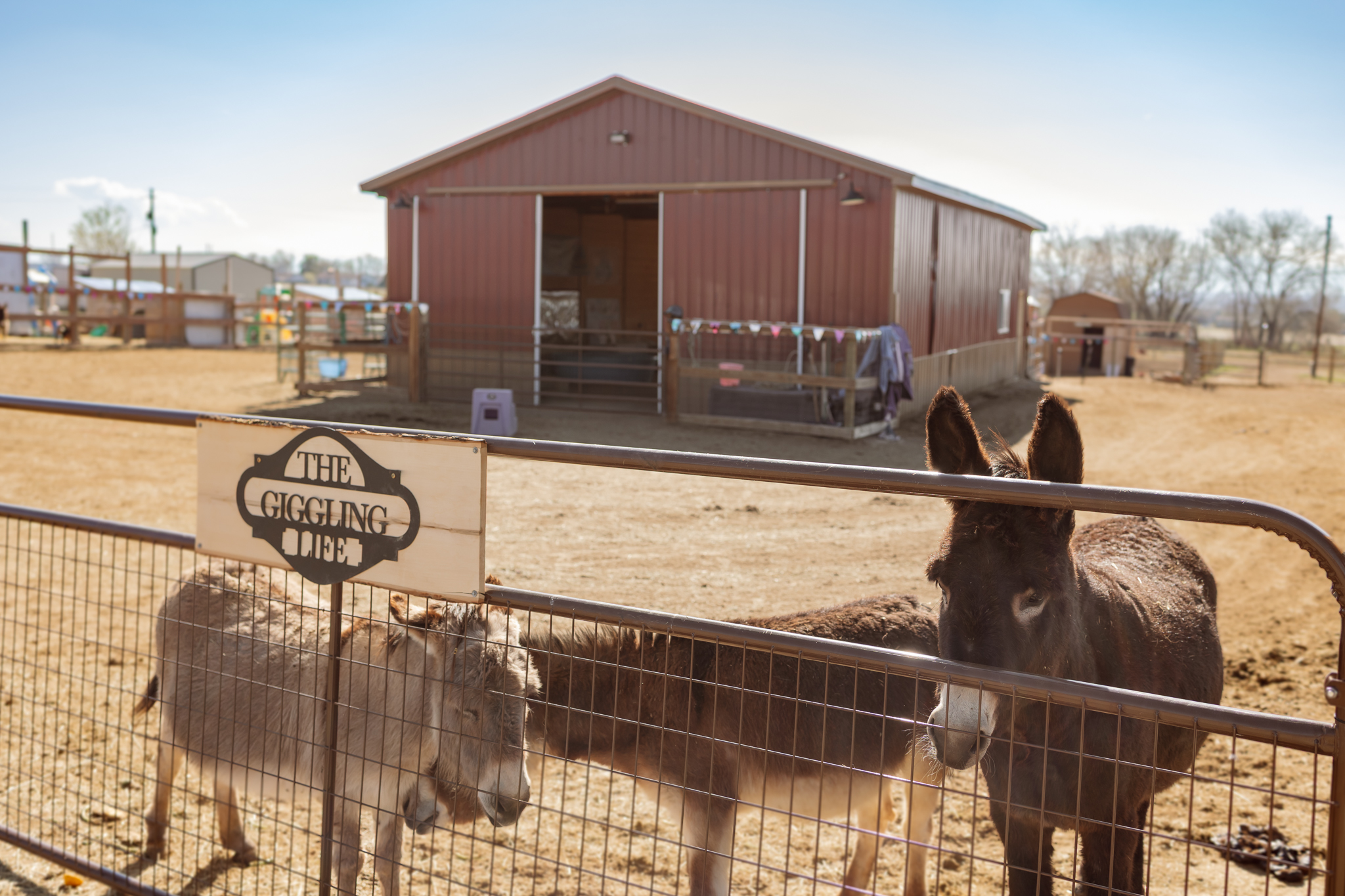 The Giggling Life Care Farm