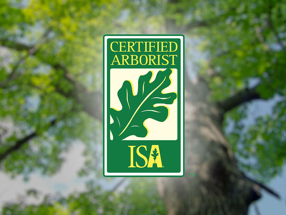 How long does it take to a certified arborist?