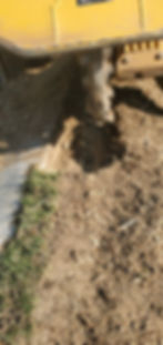 Stump Grinding - Riverdale Tree Services