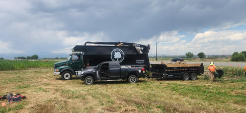 Plains Cottonwood Removal Firestone, CO - Riverdale Tree Services