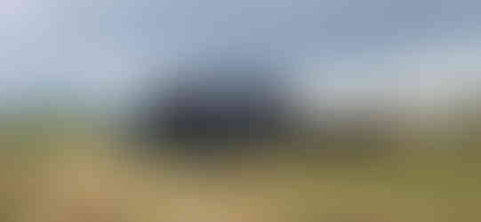 Plains Cottonwood Removal Firestone, CO - Riverdale Tree Services