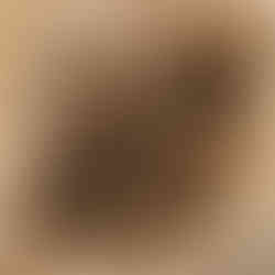 Silver Maple Tree Removal - Brighton, CO - Riverdale Tree Services