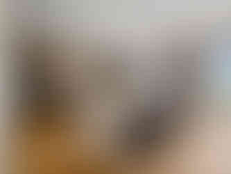 2466 Spruce Meadow Dr - Miranda Adame Productions