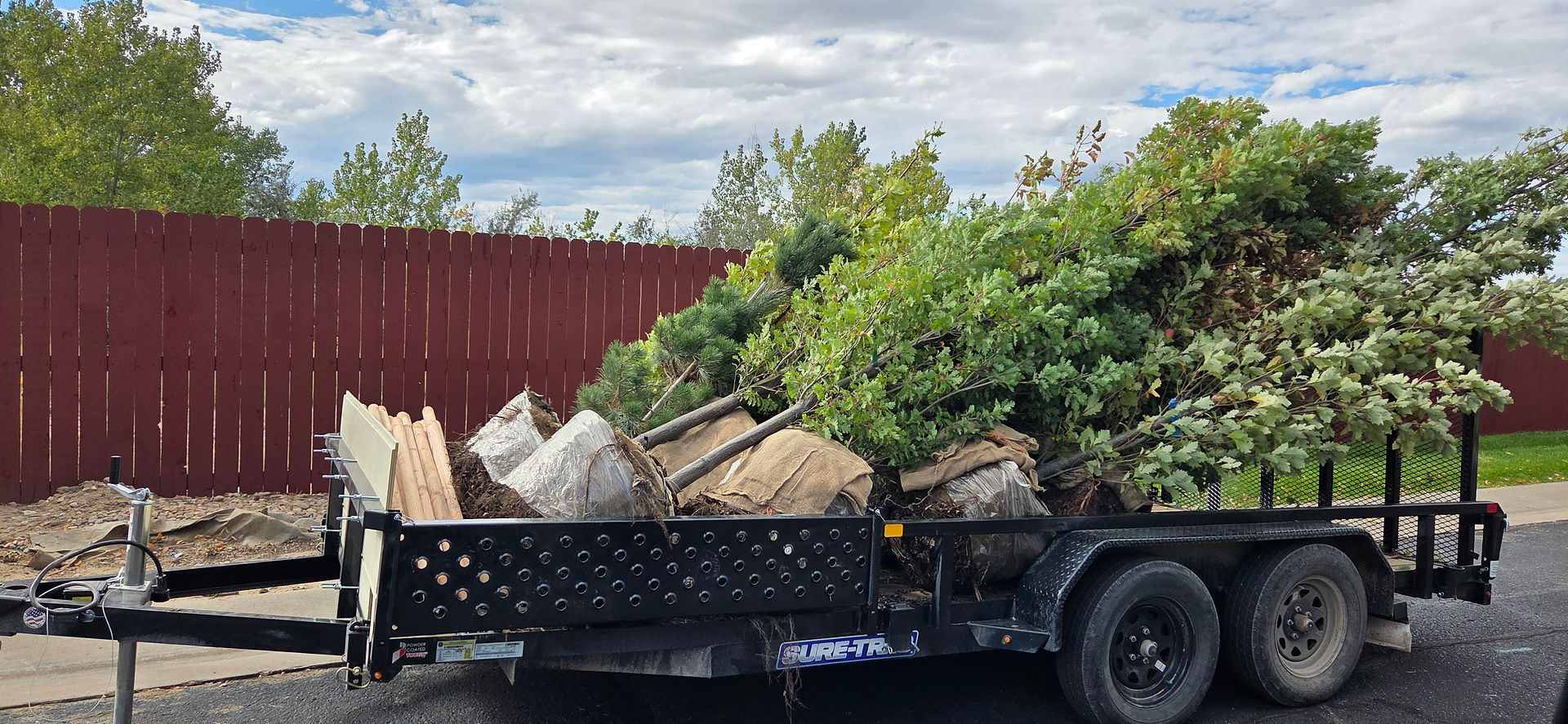 Tree Planting in East Brighton, Colorado - Riverdale Tree Services