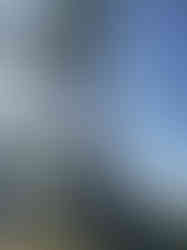 Plains Cottonwood Removal Firestone, CO - Riverdale Tree Services