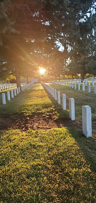 Saluting Branches - Fort Logan National Cemetery
