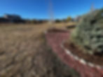 Stanley Lake Tree Planting