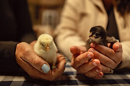 Tiny Tots