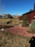 Stanley Lake Tree Planting