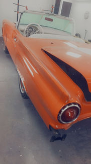 IMG_1977.jpeg
