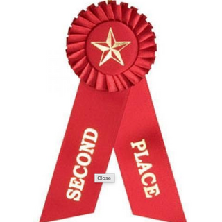 Value Solid Black Finish Plaque - Blue Ribbon Trophies