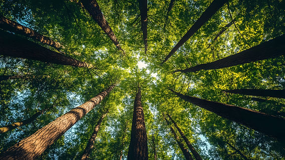 AdobeStock_1126375713.jpeg
