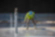 AdobeStock_499425694.jpeg