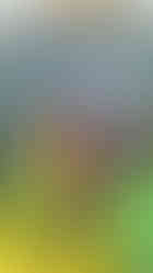 Saluting Branches - Fort Logan National Cemetery