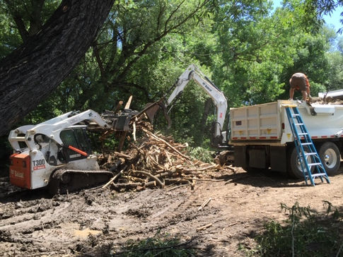 Commercial Forestry - ArborForce