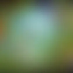 Riding the White Serpent