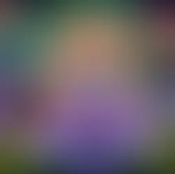 Love is for Everyone