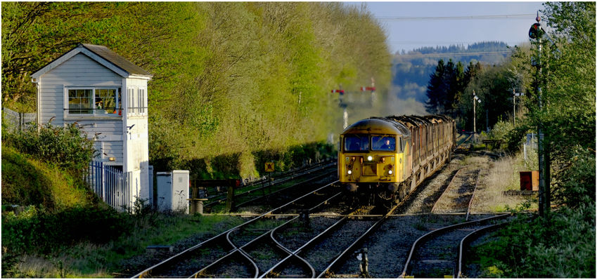 An old diesel locomotive hauling a train of logs in the evening sun at Abergavenny with semaphore signals.