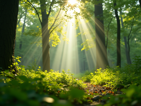 The Importance of Sustainable Living for Future Generations