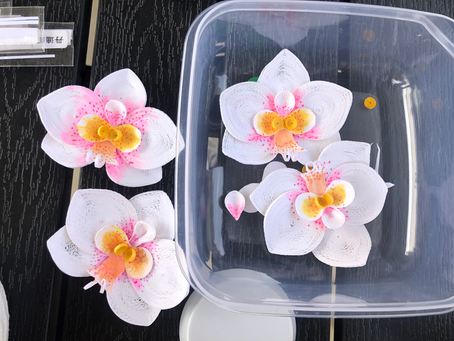 Top Ten Famous Flowers in China｜Moth Orchids