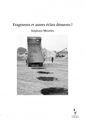 fragments-et-autres-eclats-dements-.png