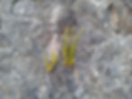20120702_211845.jpg