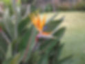 20120629_102748.jpg