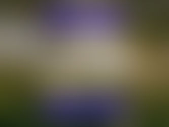 TASC of Southeast Ohio - 10/29/2025