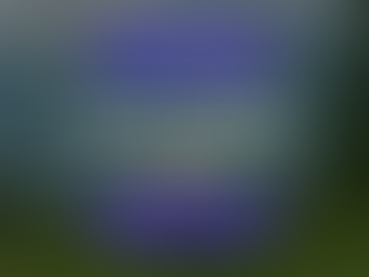 Willpower Wednesday - 5/29/2024