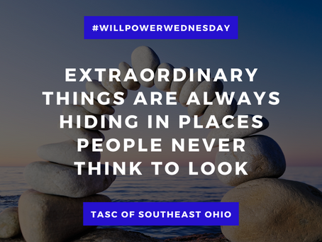 Willpower Wednesday - 8/14/2024